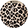 LATTE LEOPARD LATTE LEOPARD