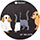 TOO CUTE TO SPOOK RC TOO CUTE TO SPOOK RC
